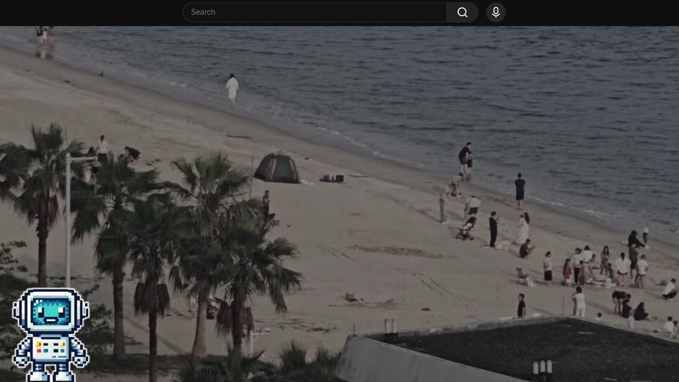 Beach scene from elevated vantage point in daylight