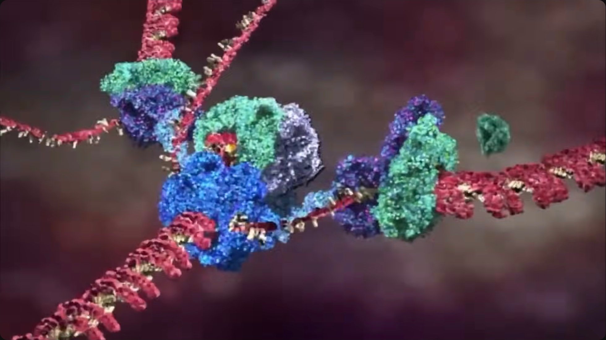 Molecular machinery like CRISPR gene-editing complexes demonstrates how biological systems achieve nanometer-scale precision at room temperature—capabilities that outperform most industrial processes in elegance and efficiency.
