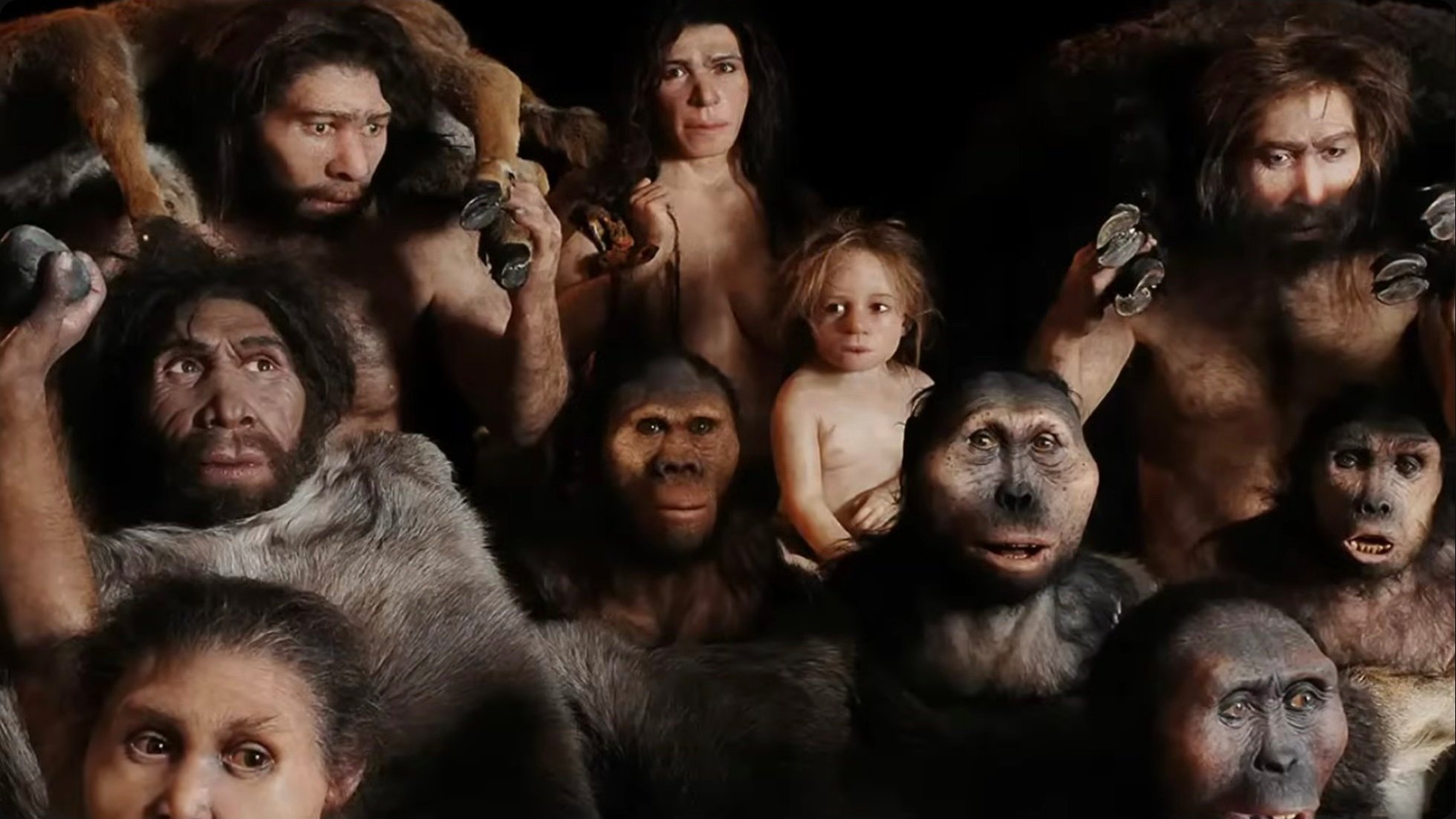 The diversity of human ancestors and related species demonstrates how rare our particular evolutionary path was—Neanderthals and Denisovans possessed comparable intelligence but never built cities, let alone spacecraft.